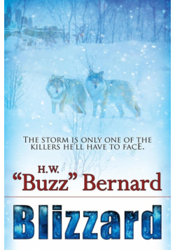 Blizzard