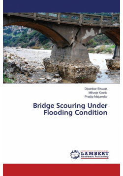 Bridge Scouring Under Flooding Condition