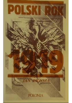 Polski rok 1919