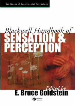 Sensation Perception