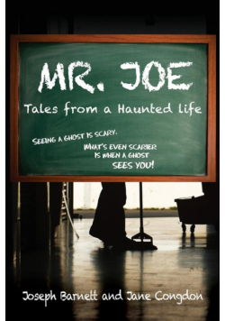 Mr. Joe