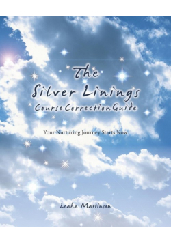 The Silver Linings Course Correction Guide