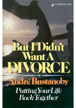 But I Didn't Want a Divorce