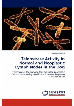 Telomerase Activity in Normal and Neoplastic Lymph Nodes in the Dog
