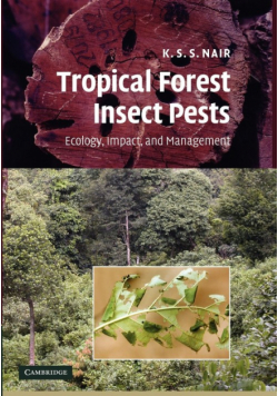 Tropical Forest Insect Pests
