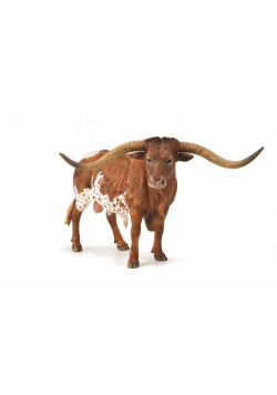 Texas Longhom Bull