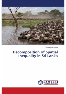 Decomposition of Spatial Inequality in Sri Lanka