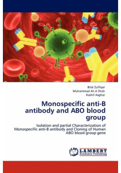 Monospecific Anti-B Antibody and Abo Blood Group
