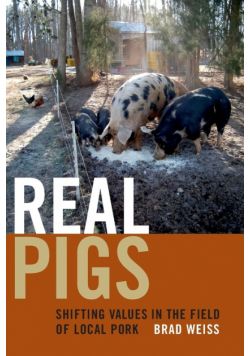 Real Pigs