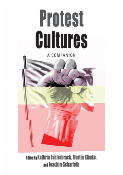 Protest Cultures
