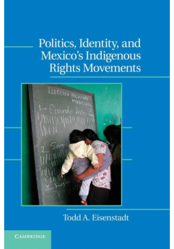 Politics, Identity, and Mexico S Indigenous Rights Movements