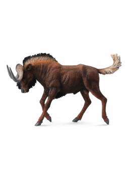 Gnu białoogonowe