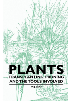 Plants - Transplanting, Pruning and the Tools Involved
