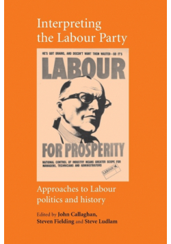 Interpreting the Labour Party