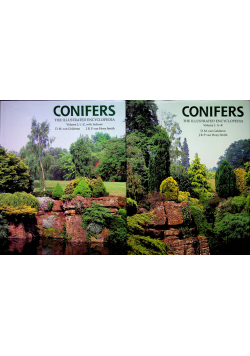 Conifers the illustrated encyklopedia tom 1 i 2
