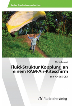 Fluid-Struktur Kopplung an einem RAM-Air-Kiteschirm