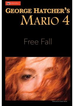 Mario 4