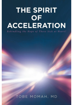 The Spirit of Acceleration