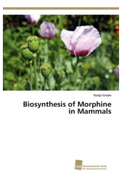 Biosynthesis of Morphine in Mammals