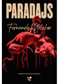 Paradajs
