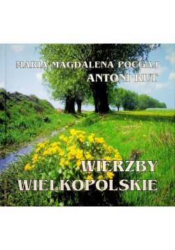 Wierzby wielkopolskie