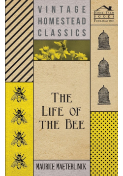 The Life Of The Bee