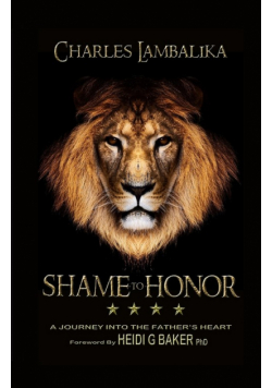 Shame To Honor