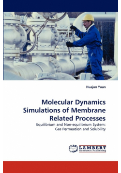 Molecular Dynamics Simulations of Membrane Related Processes