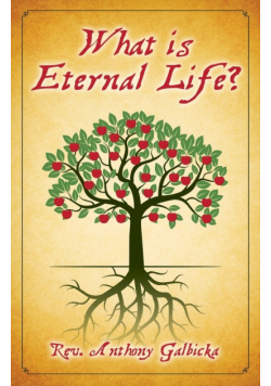 What Is Eternal Life?