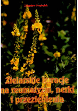 Zielarskie kuracje na reumatyzm nerki i przeziębienia