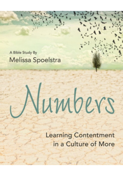 Numbers - Women's Bible Study Participant Workbook