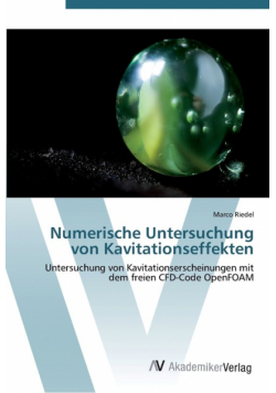 Numerische Untersuchung von Kavitationseffekten