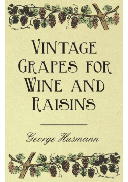 Vintage Grapes for Wine and Raisins
