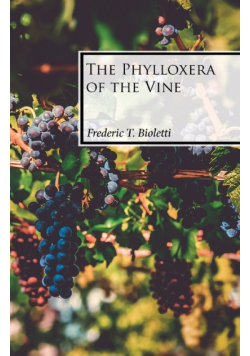 The Phylloxera of the Vine