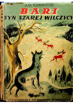 Bari Syn szarej wilczycy 1949 r