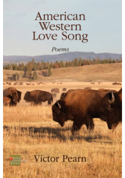 American Western Love Song