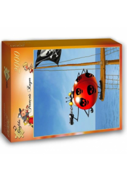Puzzle 2000 Pirat, Ruyer Francois