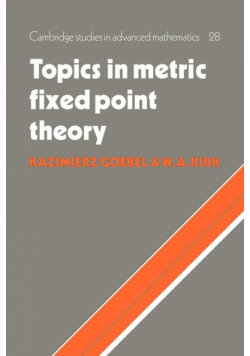 Topics in Metric Fixed Point Theory