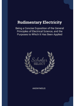 Rudimentary Electricity