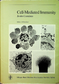 Cell Mediated Immunity in Vitro Correlates
