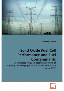 Solid Oxide Fuel Cell Performance and Fuel Contaminants