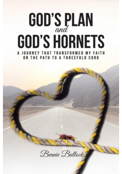 God's Plan and God's Hornets