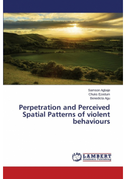 Perpetration and Perceived Spatial Patterns of violent behaviours