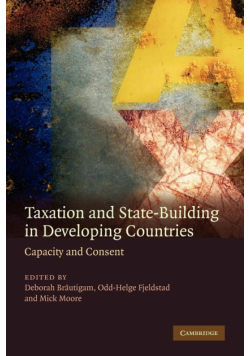 Taxation and State-Building in Developing Countries