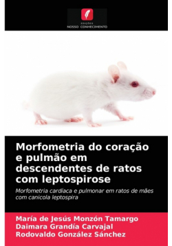 Morfometria do coração e pulmão em descendentes de ratos com leptospirose