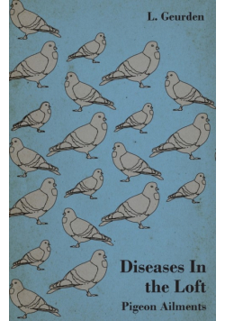 Diseases In the Loft - Pigeon Ailments