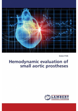 Hemodynamic evaluation of small aortic prostheses
