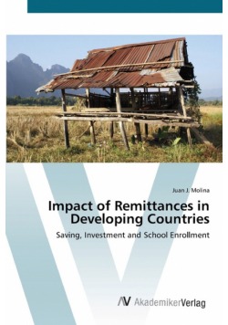 Impact of Remittances in Developing Countries