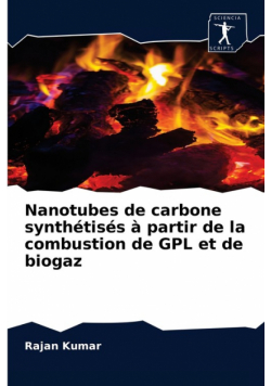Nanotubes de carbone synthétisés à partir de la combustion de GPL et de biogaz