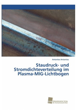 Staudruck- und Stromdichteverteilung im Plasma-MIG-Lichtbogen